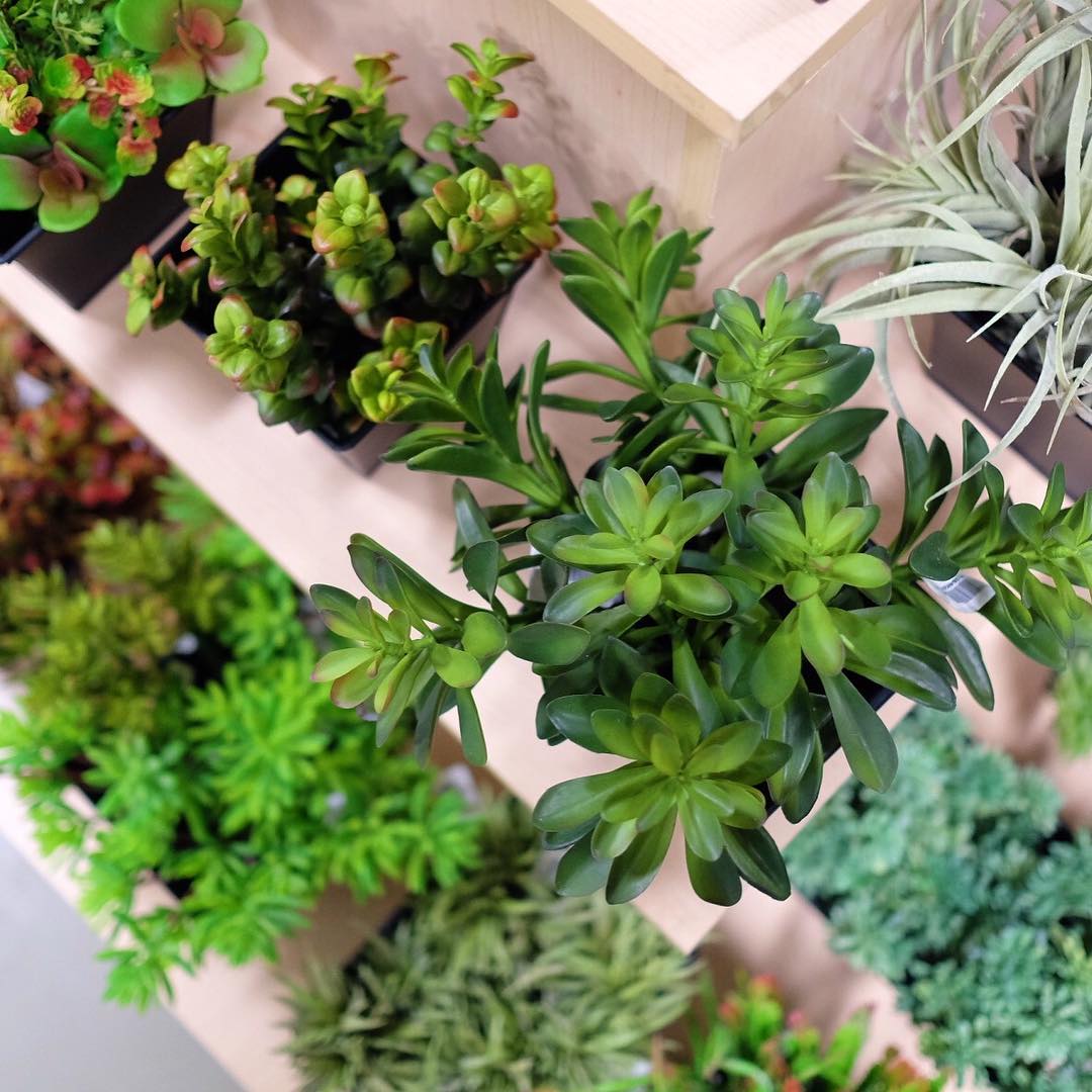 Artificial Tabletop Plants