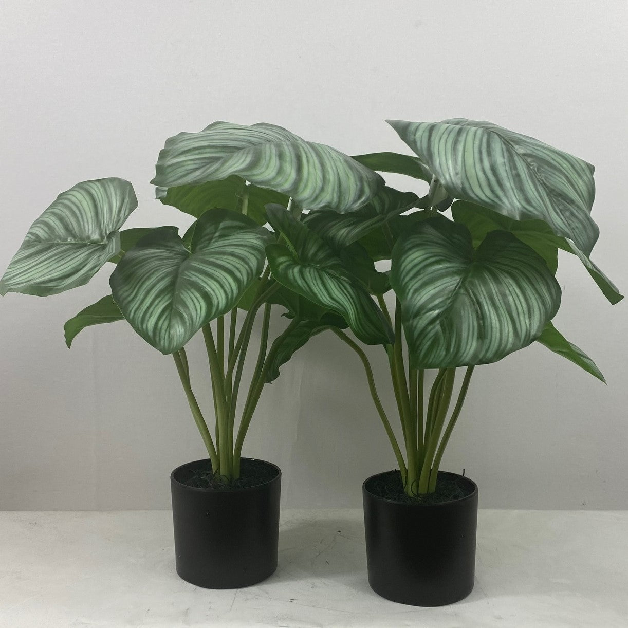 Artificial Indoor Plants