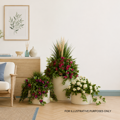 Bloom & Cascade Collection