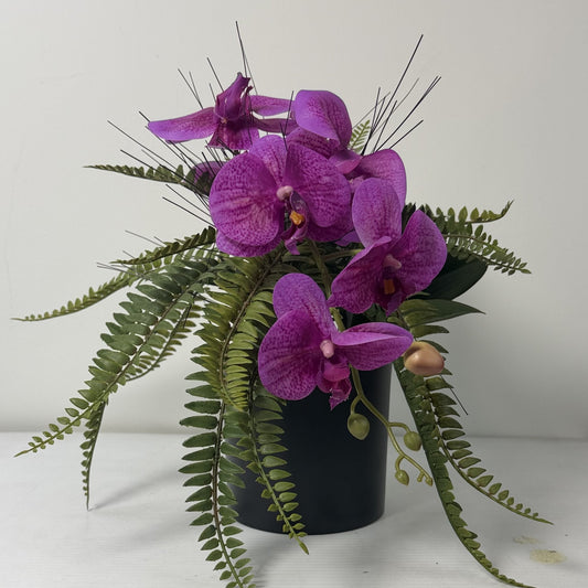 Forest orchid