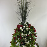 Geranium Extravaganza