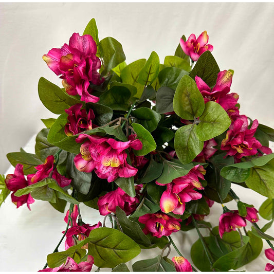 Azalea Flowering Bush