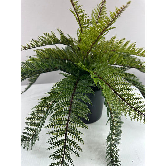 Outdoor Fern Coffee Table