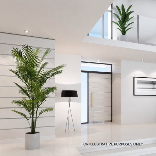 2-Piece Tropical Plant Set