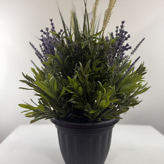 Dreaming Lavendar