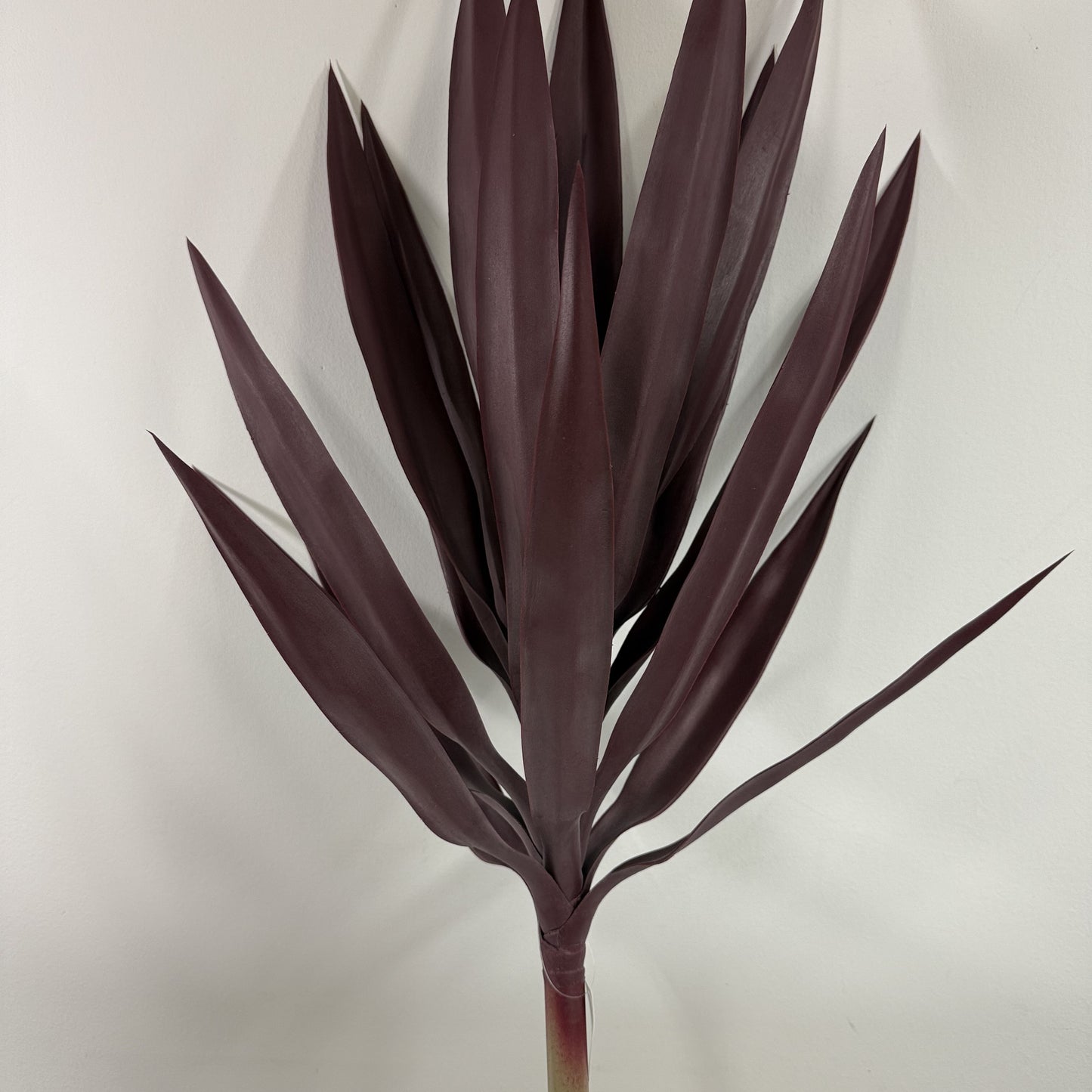 Yucca Head Plant 28" Green or Red