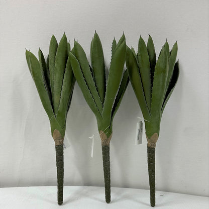 Aloe Mini (Pack of 3)