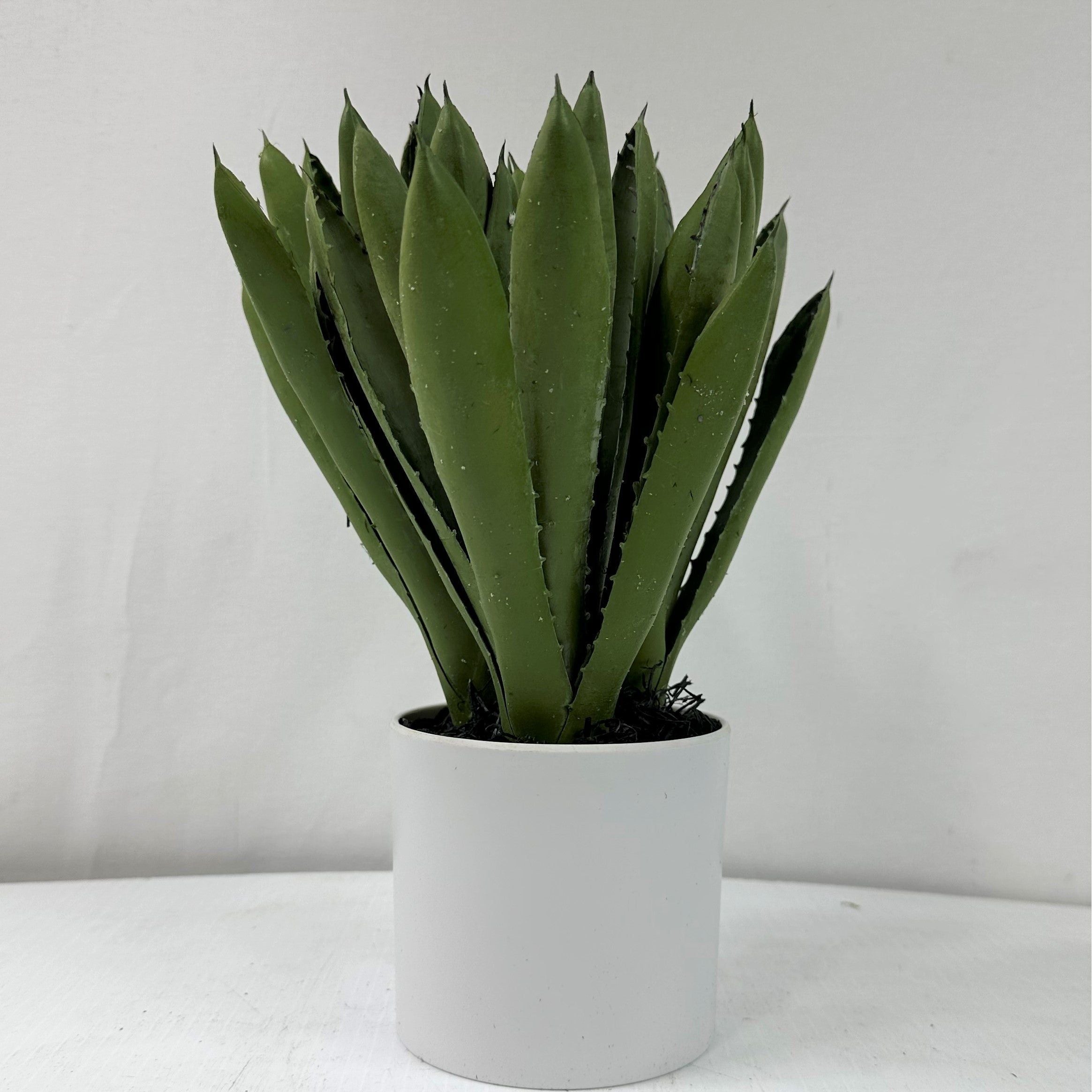 Aloe X 3  in ceramic