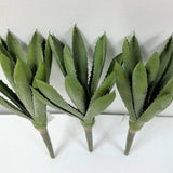 Aloe Mini (Pack of 3)
