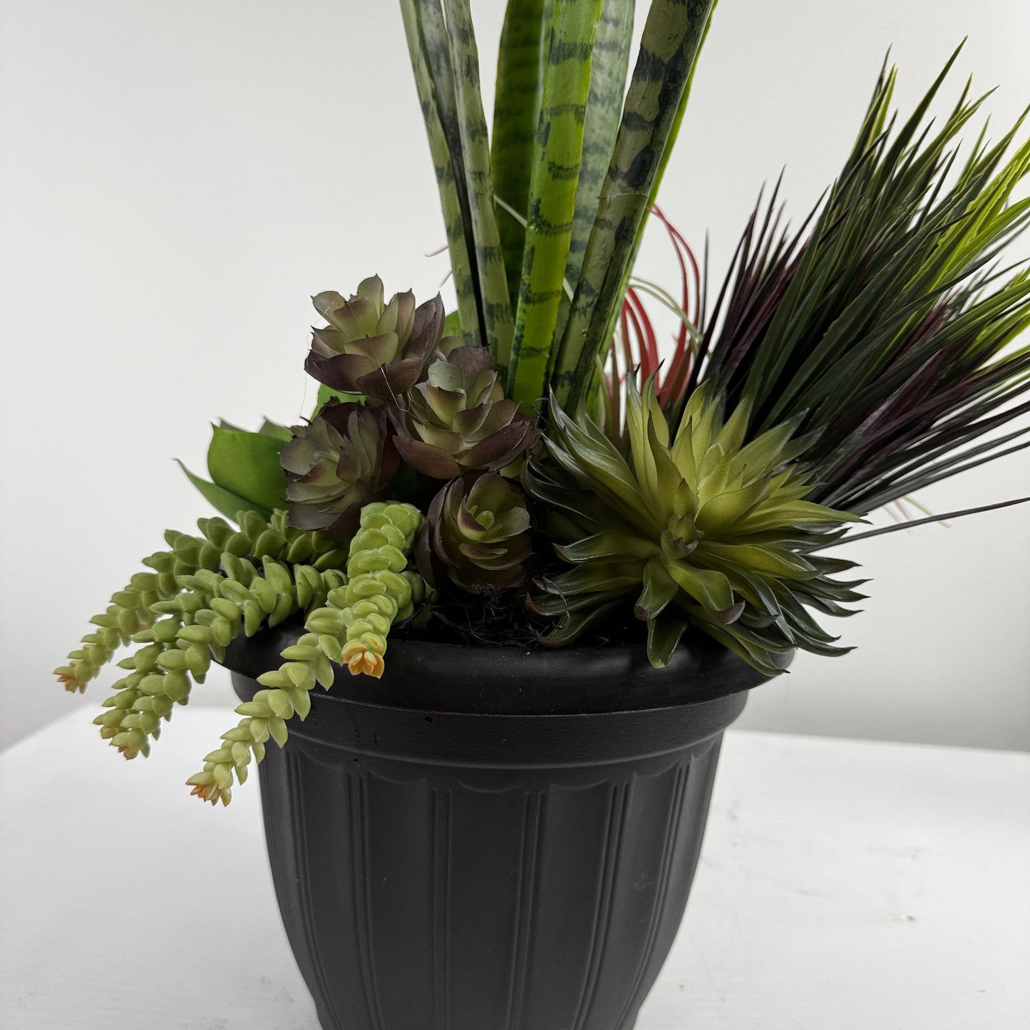 Arizona Succulent Insert