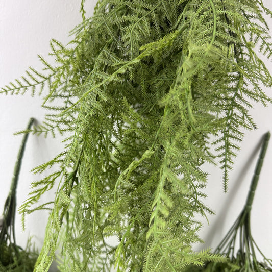 Asparagus  fern hanging bush 28" (Set of 2)