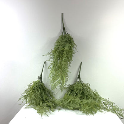 Asparagus  fern hanging bush 28" (Set of 2)
