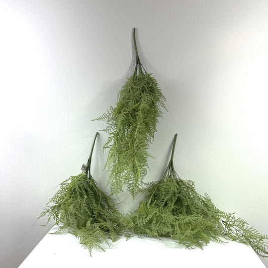 Asparagus  fern hanging bush 28" (Set of 2)