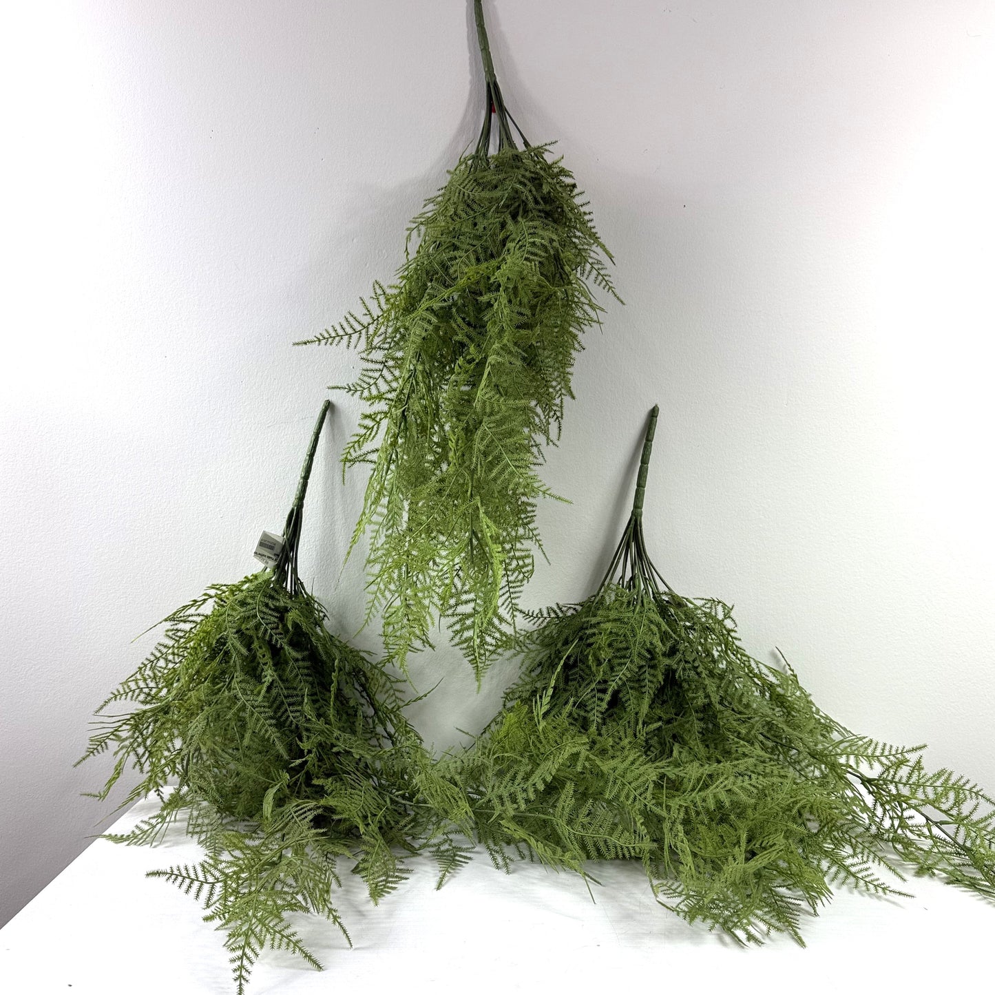 Asparagus  fern hanging bush 28" (Set of 2)