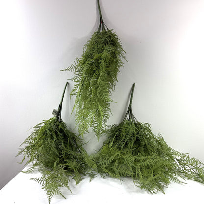 Asparagus  fern hanging bush 28" (Set of 2)