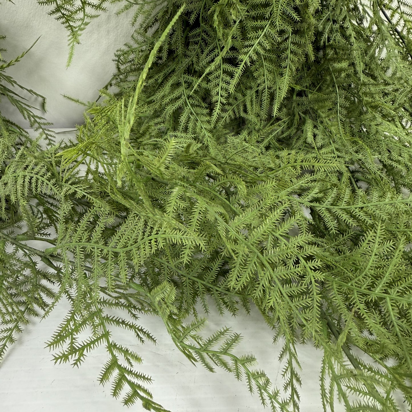 Asparagus  fern hanging bush 28" (Set of 2)