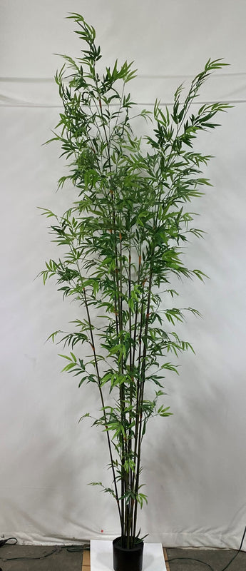 Bamboo 9'