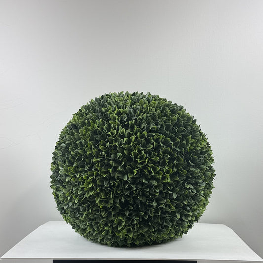 Boxwood Ball no pot 20"