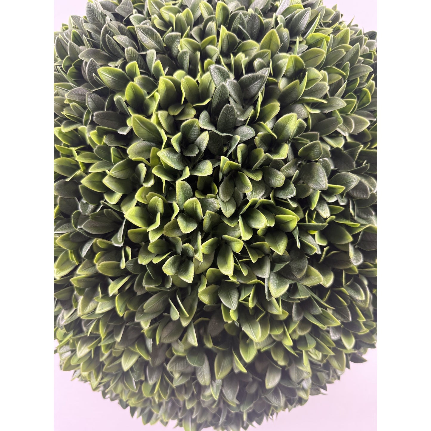 Boxwood Ball no pot 20"