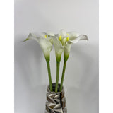 Cala lily white 26