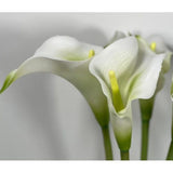 Cala lily white 26" (Pack of 3)