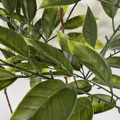 Cherry leaf stem 34" set of 3