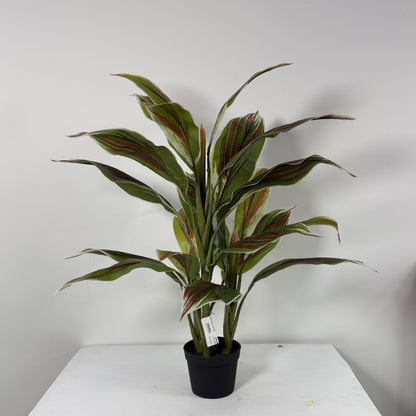 Cycas plant mini 29"