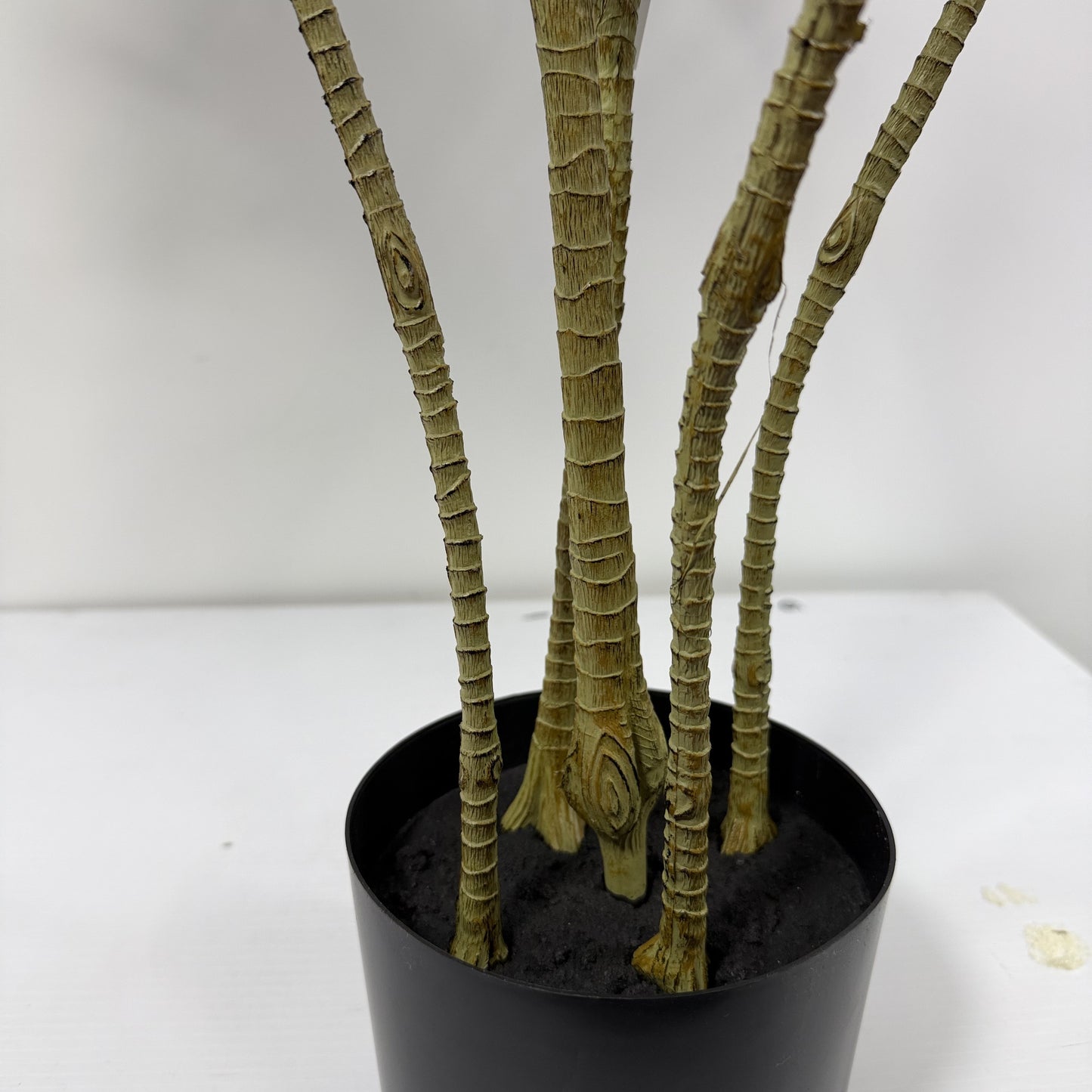 Dracaena adjustable Trunk 53"