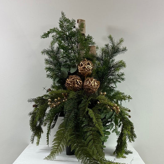 Evergreen 12" ( Instore pick up only )