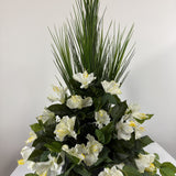 Flowering Dracena Arrangement