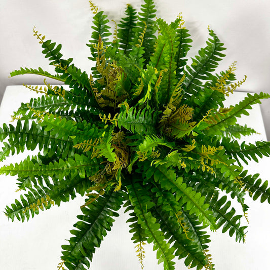 UV Protected Garden Fern Triple