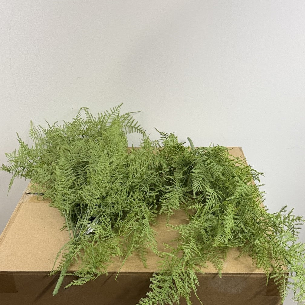 Asparagus  fern hanging bush 28" (Set of 2)