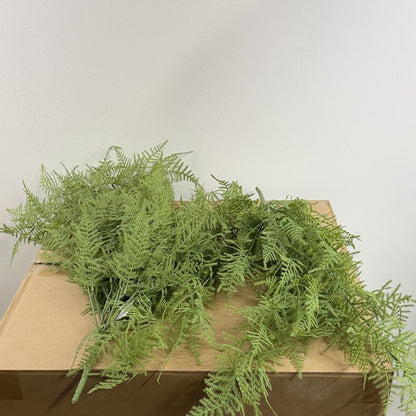 Asparagus  fern hanging bush 28" (Set of 2)