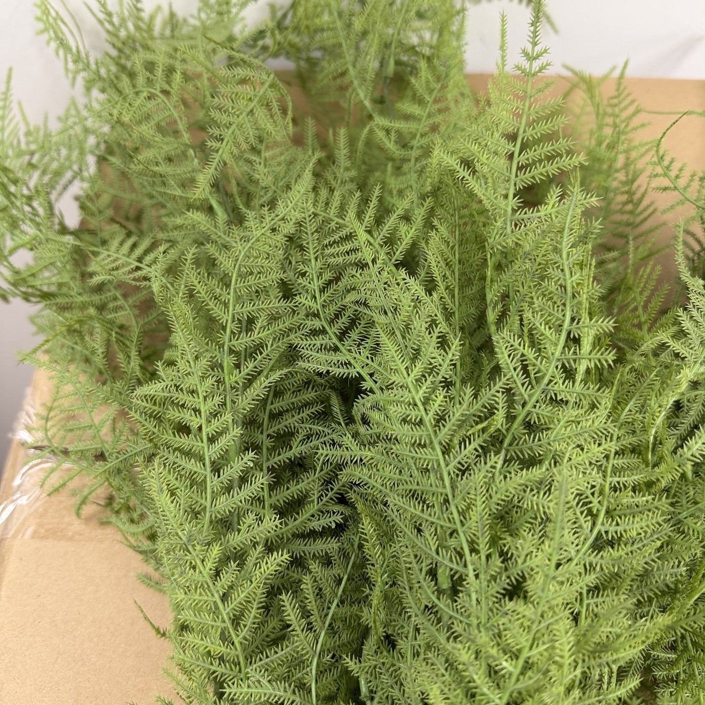 Asparagus  fern hanging bush 28" (Set of 2)