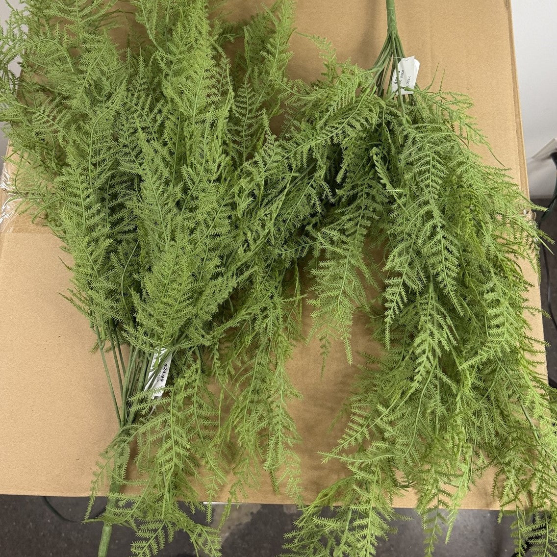 Asparagus  fern hanging bush 28" (Set of 2)