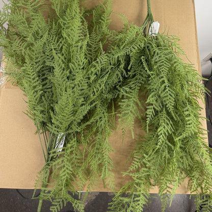 Asparagus  fern hanging bush 28" (Set of 2)