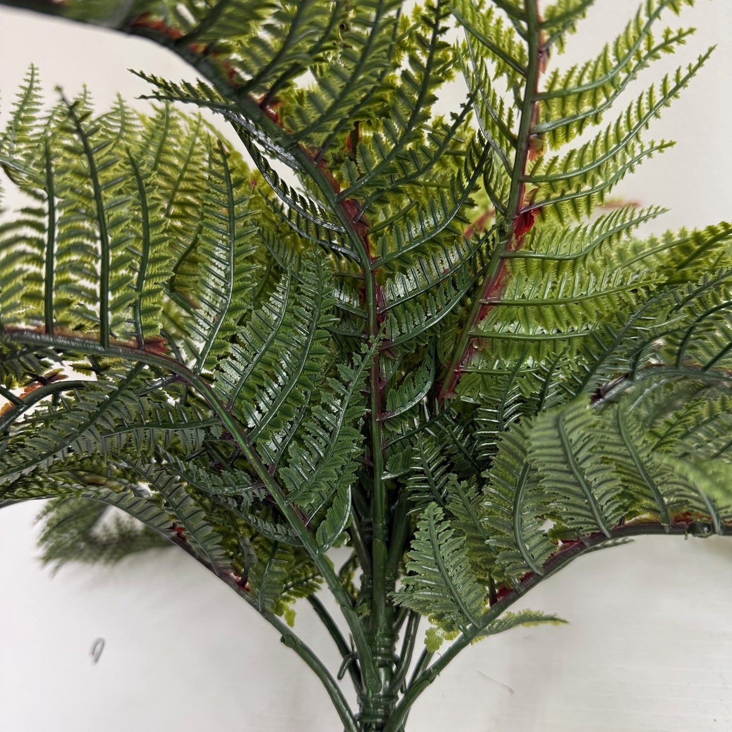 Fern plug in UV protected (pack of three)