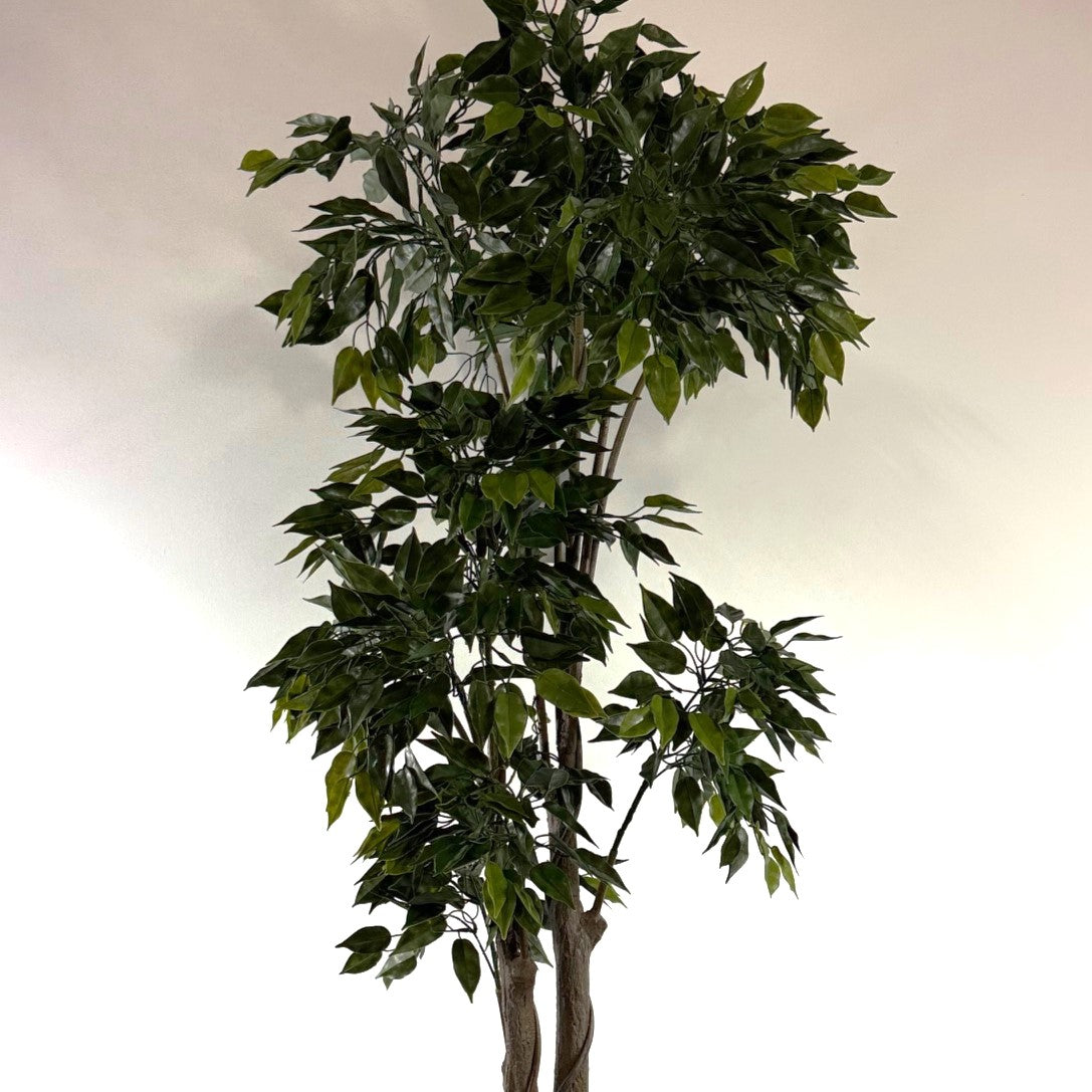 French Ficus 65" UV Topiary
