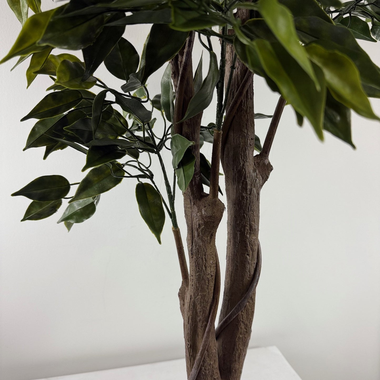 French Ficus 65" UV Topiary