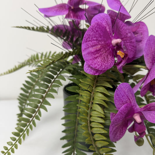 Forest orchid