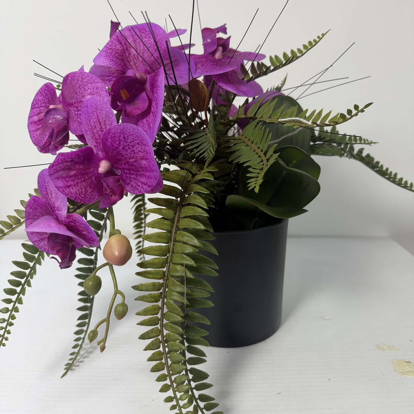 Forest orchid
