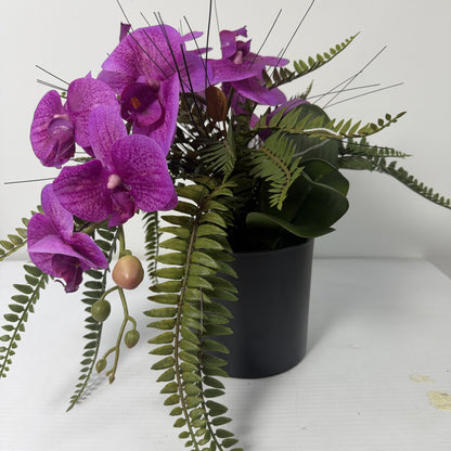 Forest orchid