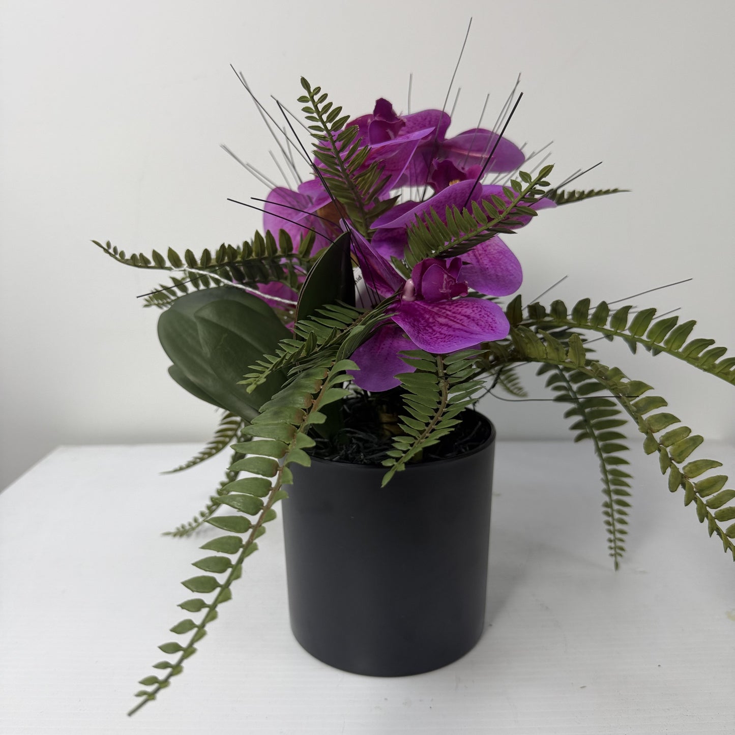 Forest orchid