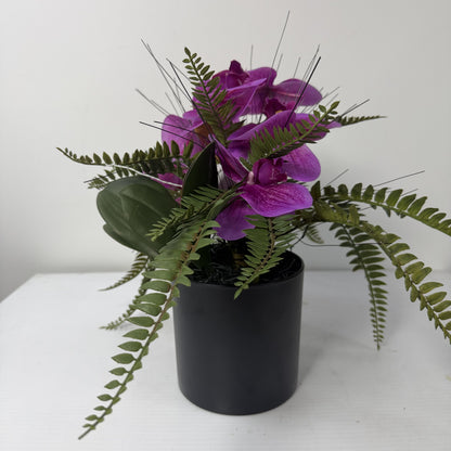Forest orchid