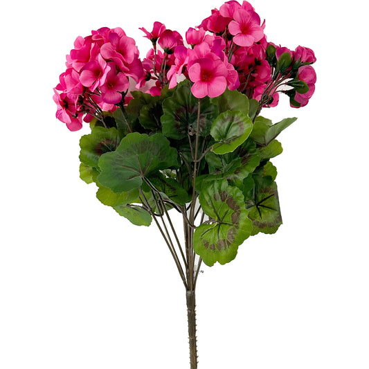 Geranium Stand-Up Flowering Bush