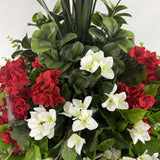 Geranium Extravaganza