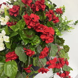 Geranium Extravaganza