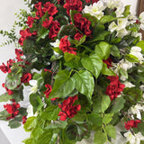 Geranium Extravaganza