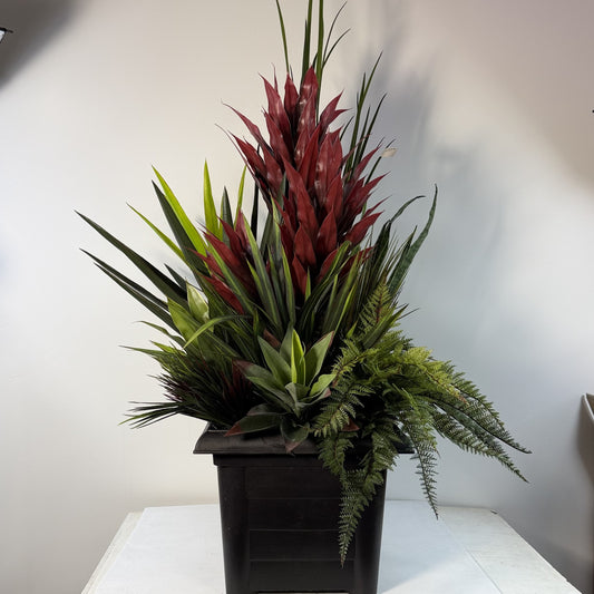 Heart of the Tropics