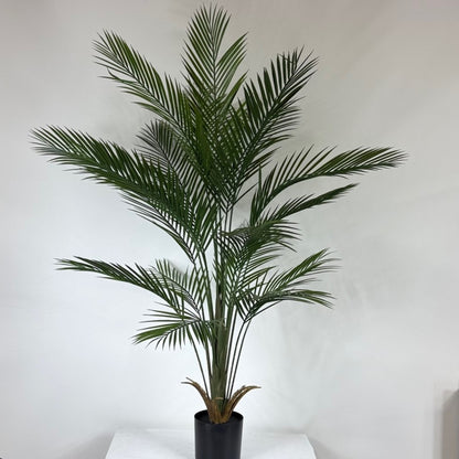 kwai palm 5'
